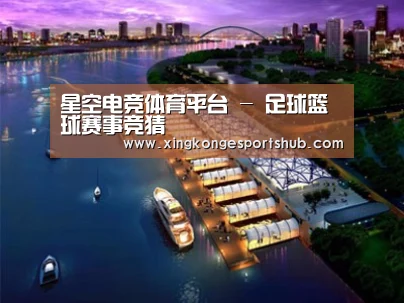 案例展示八