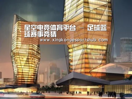 案例展示三