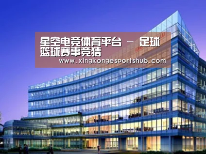 案例展示五