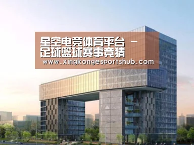 案例展示四