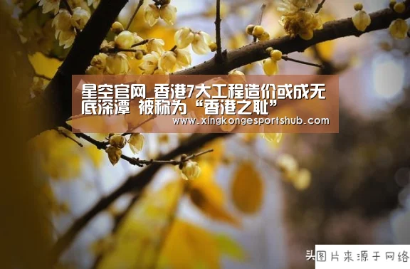 星空百家乐